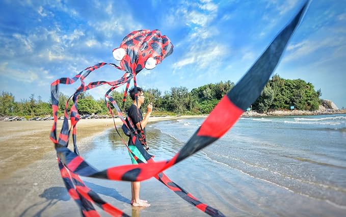 Parafoil (Stick-less) Kite