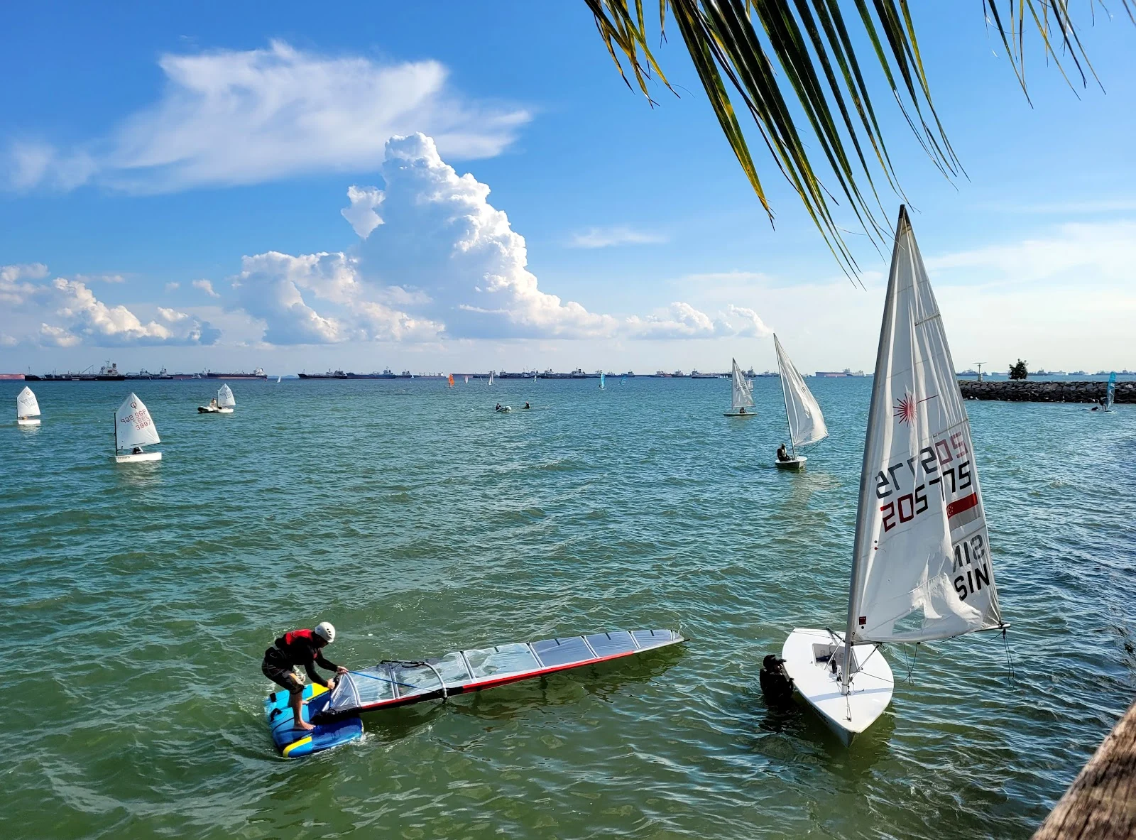 Best Family East Coast Park Guide to Activities Outdoor Playgrounds And Dining Destinations