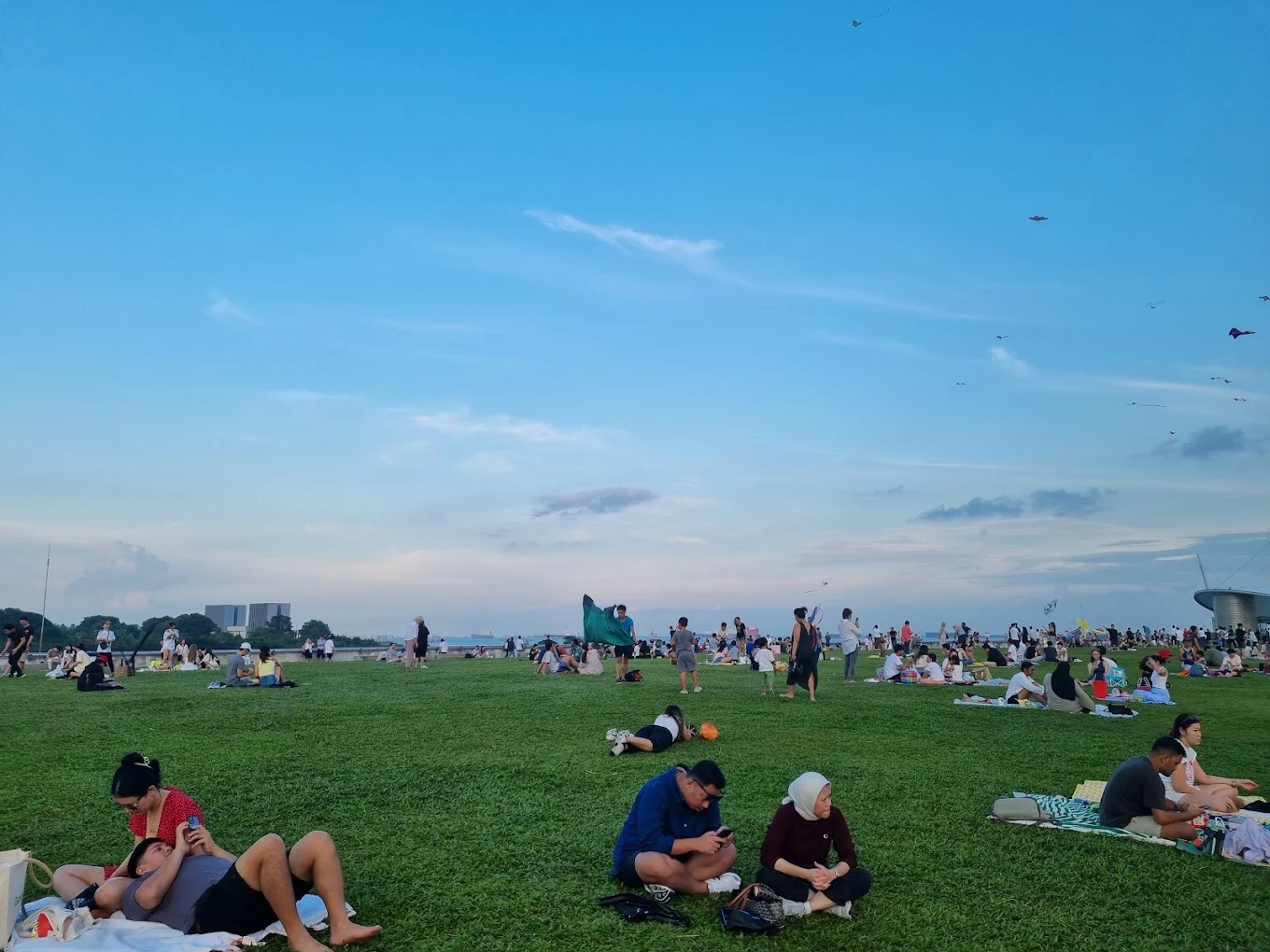 Best Free Picnic Locations in Singapore for a Family Day Out (Updated 2026)