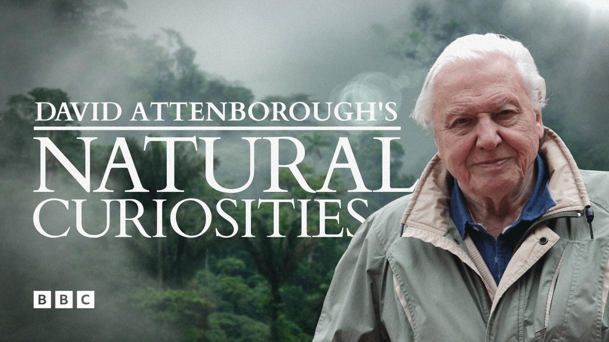 Natural Curiosities