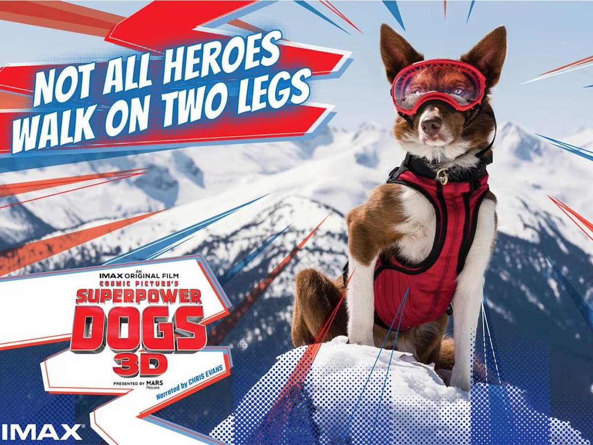 Superpower Dogs