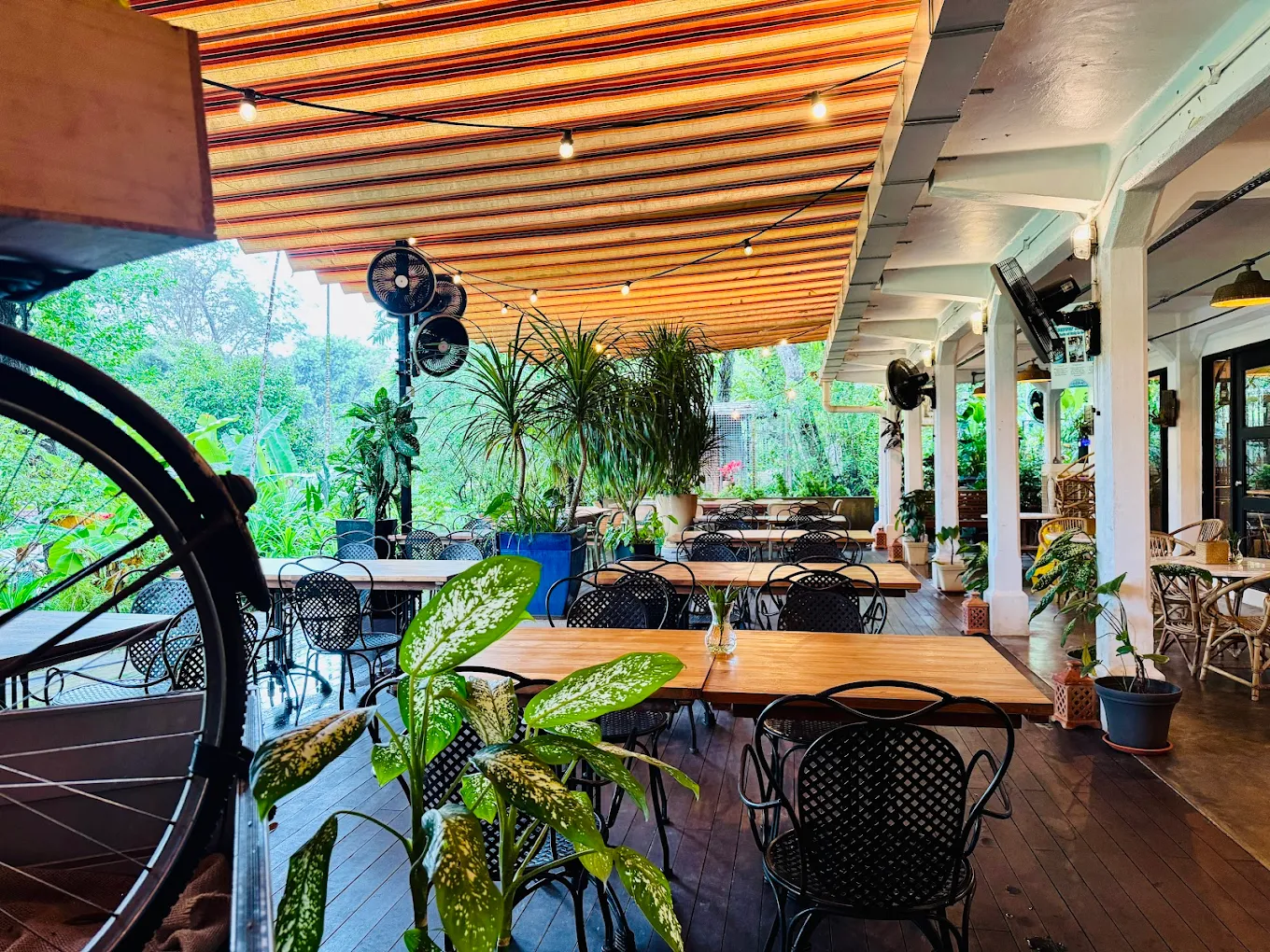 The Coastal Settlement Logo