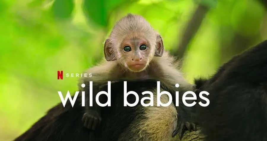 Wild Babies