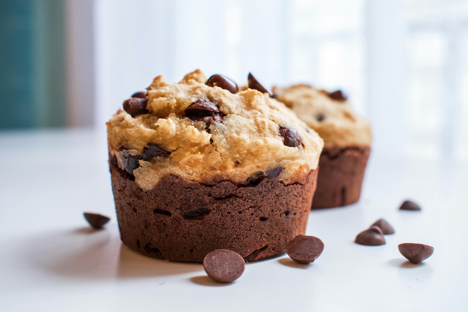 Chocolate Muffin