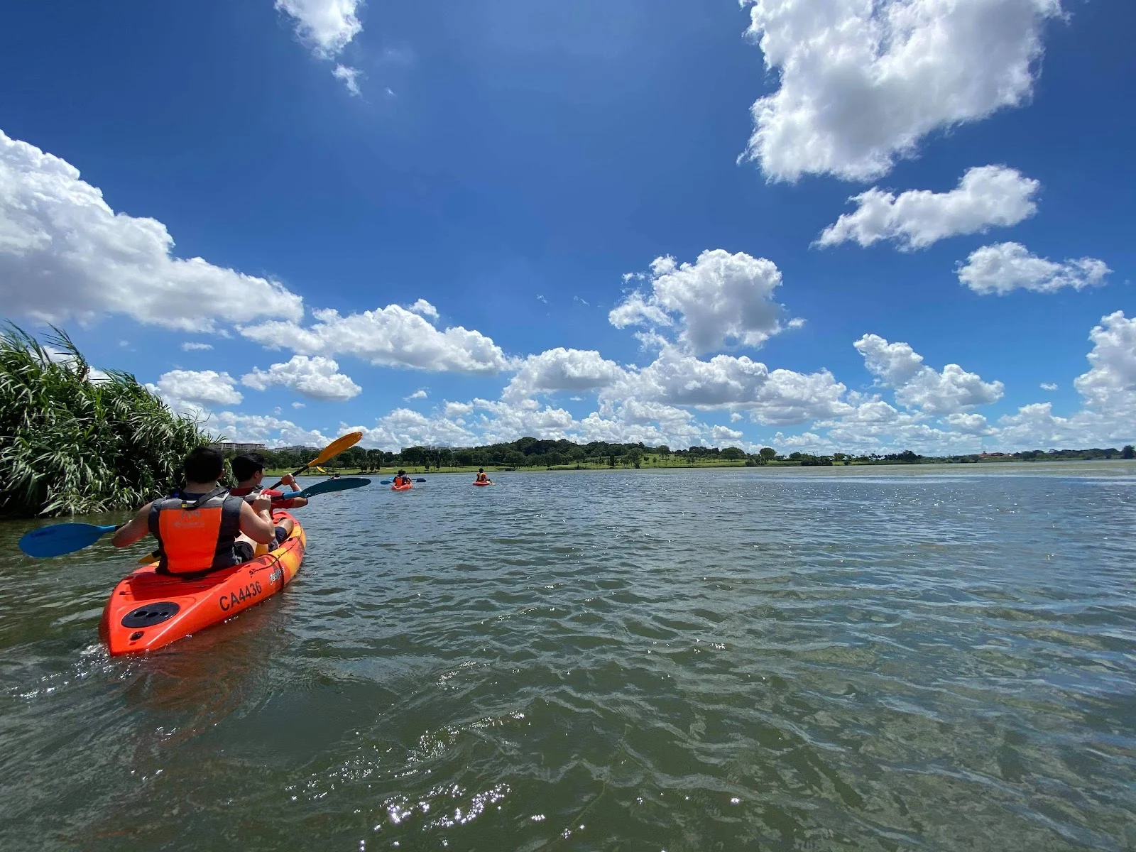 Top Family Kayaking Spots For Outdoor Adventures And Paddling Fun
