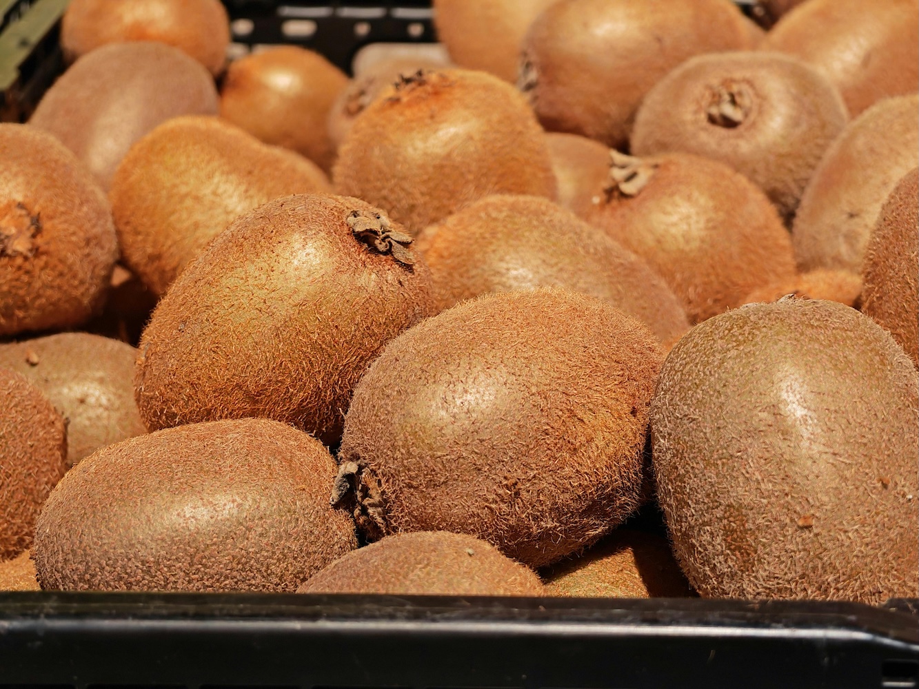 Best Fresh Fruits for Singaporean Children: A Parent’s Guide